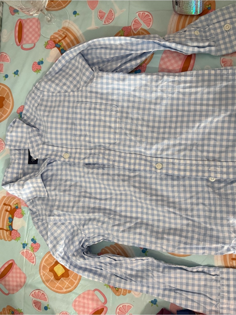 The Children's Place Light Blue and White Gingham Button-Down Shirt